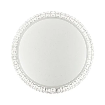 Настенно-потолочный светильник СОНЕКС PALE 2036/DLN