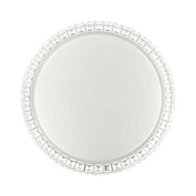 Настенно-потолочный светильник СОНЕКС PALE 2036/DLN