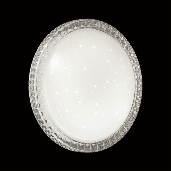 Настенно-потолочный светильник СОНЕКС PALE 2036/DLN