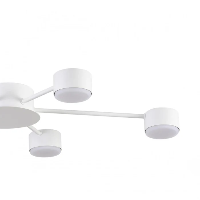 Люстра потолочная Lumion Torina 8343/6C