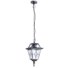 Уличный подвесной светильник Arte Lamp PARIS A1355SO-1BS