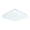 Потолочный светодиодный светильник Ambrella light FZ1156