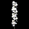 Торшер Loft it Matisse 10008F white