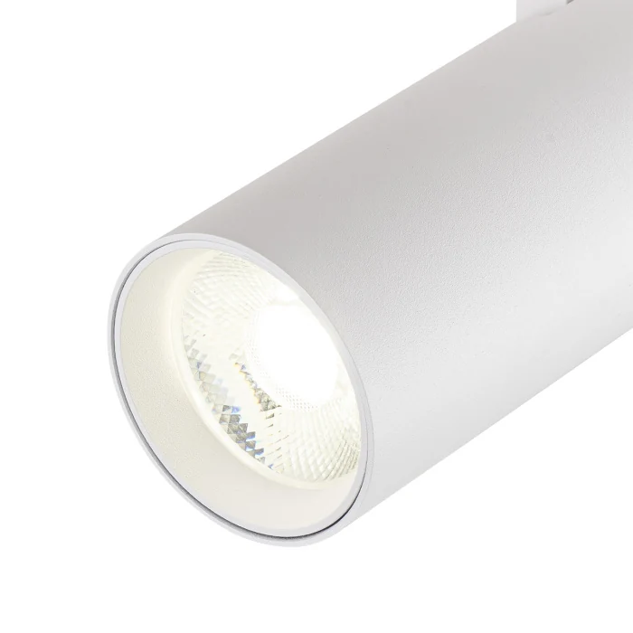 Трековый светильник 20002 ESCADA 20002TRA/02LED SWH