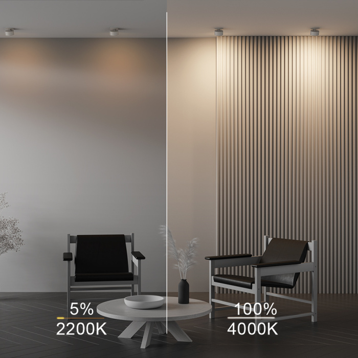 Встраиваемый светильник Maytoni ONDA DL024-12W-DTW-W