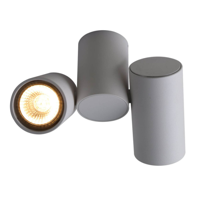 Потолочный светильник Divinare GAVROCHE 1354/03 PL-2