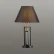 Настольная лампа FLETCHER LUMION 5290/1T