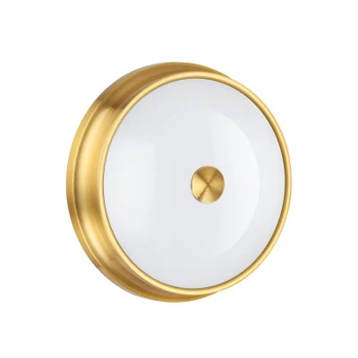 Настенно-потолочный светильник 4824/3C ODEON LIGHT