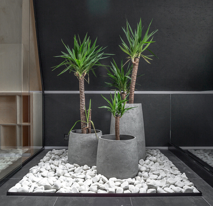 Кашпо Delight Collection Cone CONE NERO