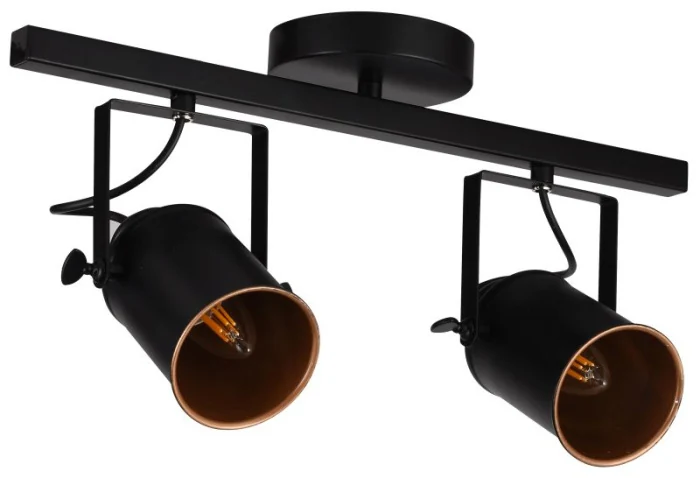 Спот Stilfort 3015/02/02C Neider