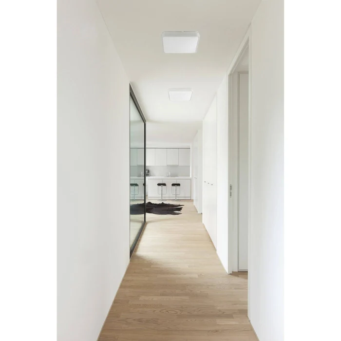 Потолочный светильник IRIS-2 LED Grey ceiling lamp