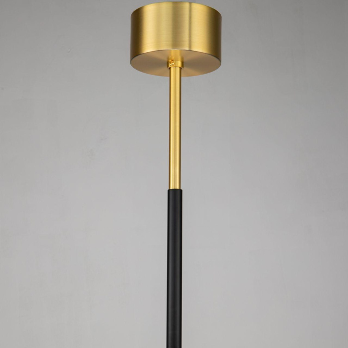 Потолочная люстра Favourite Maximo 2623-12P