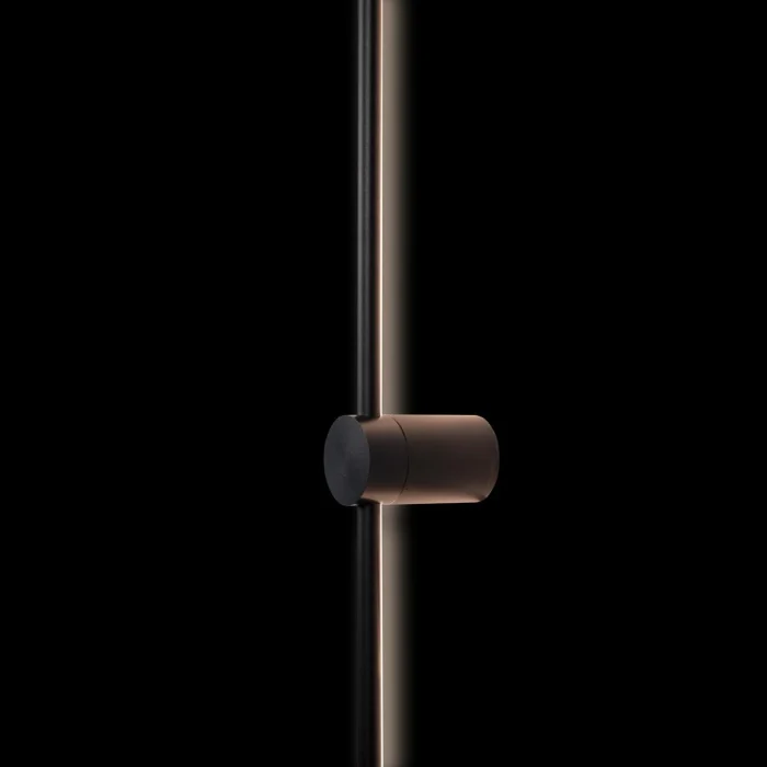 Настенный светильник LOFT IT 10053BK