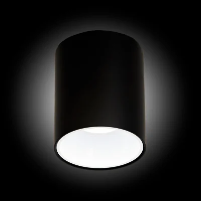 Светильник накладной Citilux Старк CL7440110
