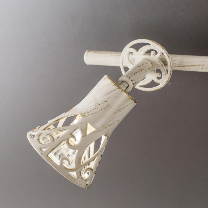 Спот поворотный Citilux Винон CL519525