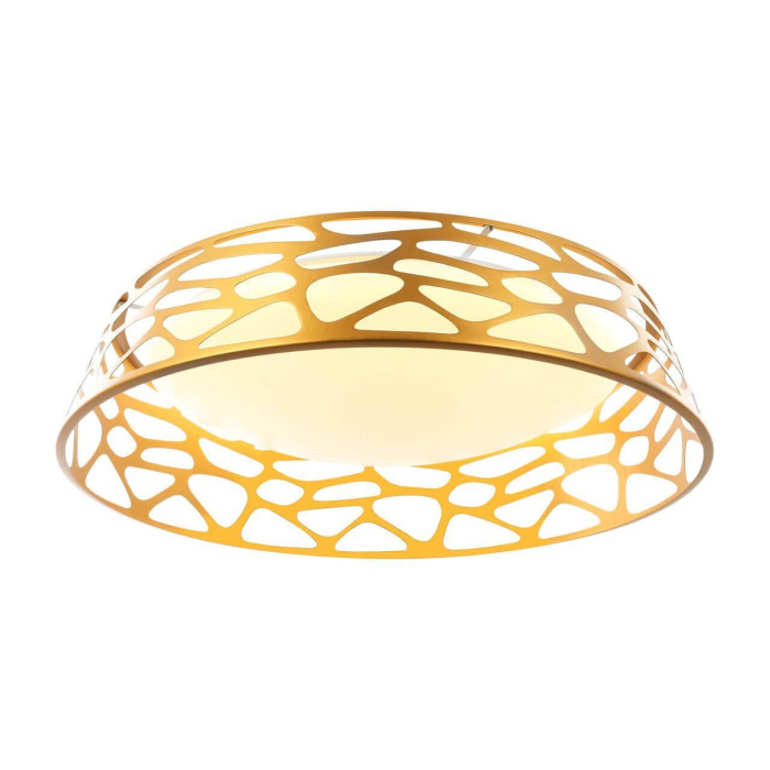 Подвесной светодиодный светильник Favourite Arcanum 2507-5PC