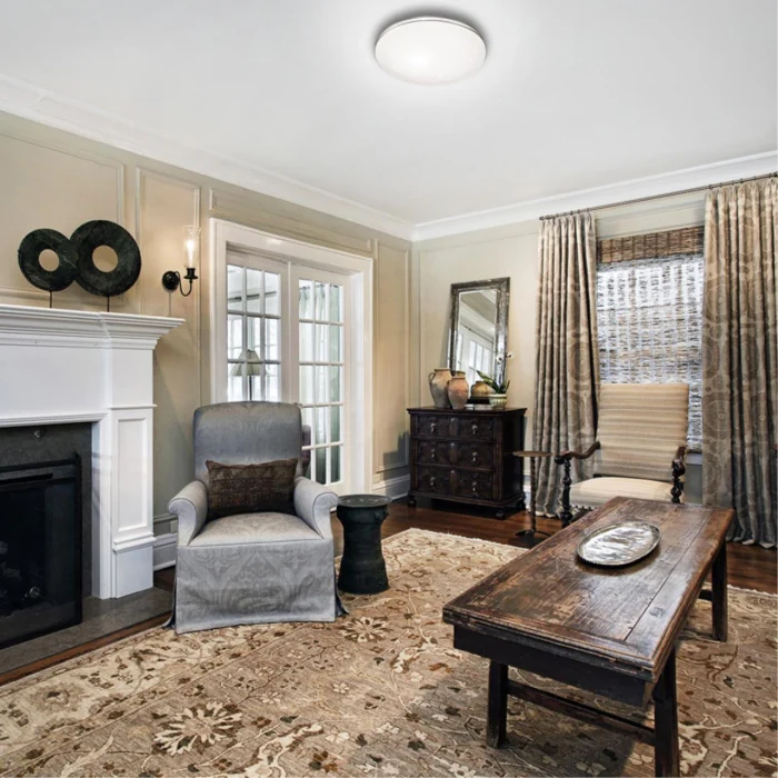 Настенно-потолочный светильник СОНЕКС PALE 2051/DLN