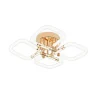 Потолочная люстра Escada Lacerta 10265/4LED