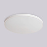 Потолочный светодиодный светильник с высокой степенью защиты IP54 Ambrella light FZ1201