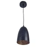 Подвесной светильник Arte Lamp Buchino A1615SP-1BK