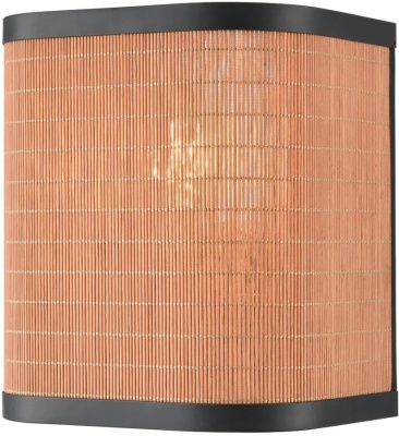 Настенный светильник VELANTE 568-701-01