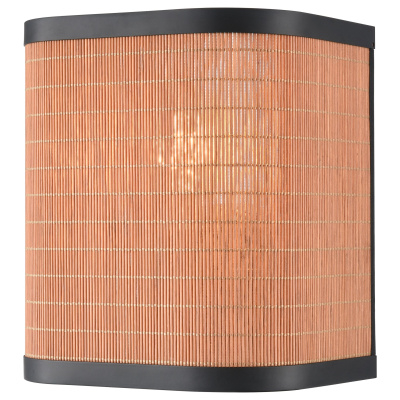 Настенный светильник VELANTE 568-701-01