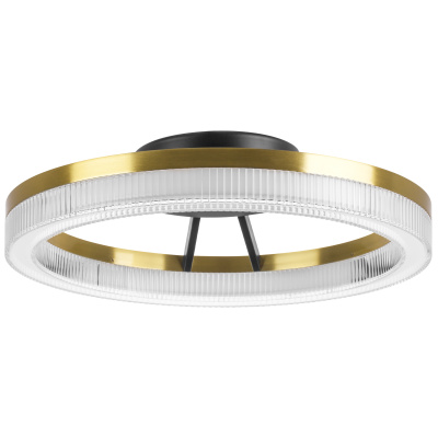 Потолочный светодиодный светильник Lightstar Rotonda 736040