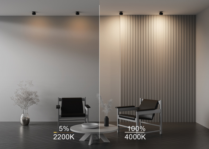 Встраиваемый светильник Maytoni ONDA DL024-12W-DTW-B