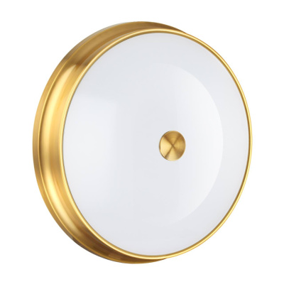 Настенно-потолочный светильник 4824/4C ODEON LIGHT