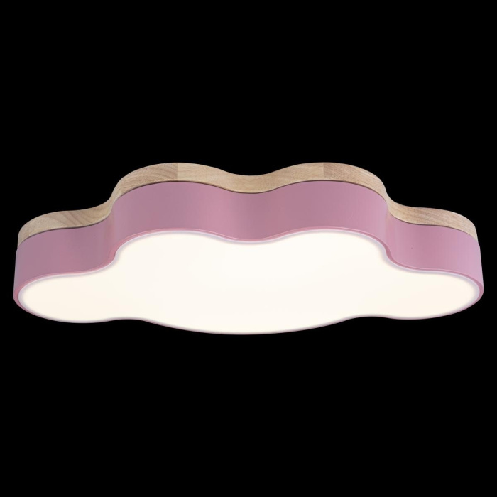 Светильник потолочный LOFTIT Axel 10005/30 Pink