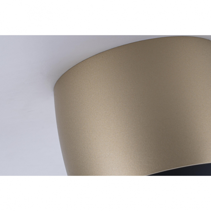Светильник потолочный iLedex VISION 300 CHAMPAGNE
