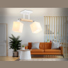 Потолочный светильник Ambrella light TR9511