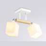 Потолочный светильник Ambrella light TR9511