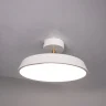 Потолочный светильник Imperiumloft Birk 377315-23