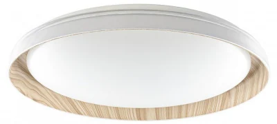 Светильник потолочный Citilux MEGA CL752452G