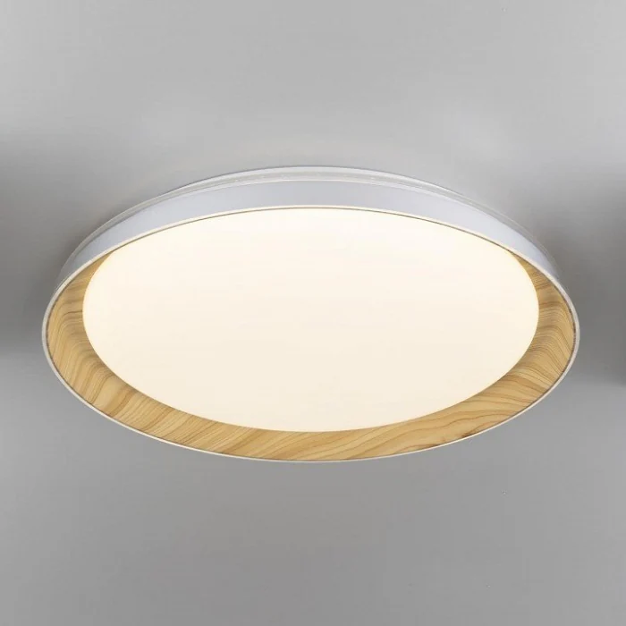 Светильник потолочный Citilux MEGA CL752452G