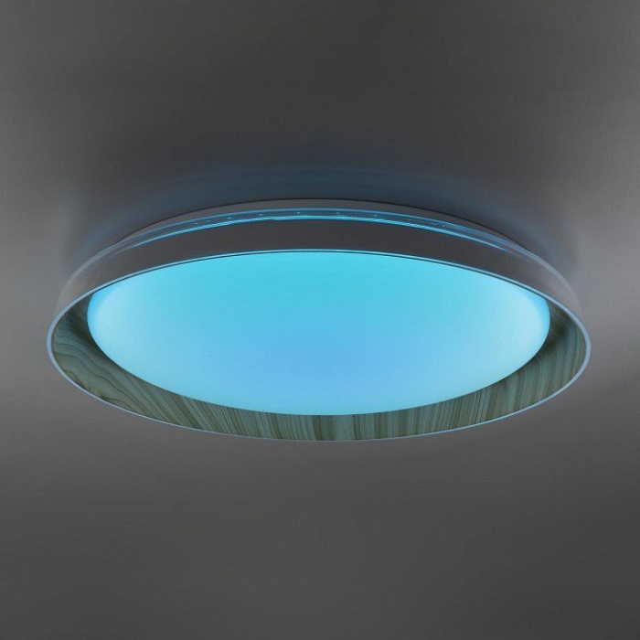 Светильник потолочный Citilux MEGA CL752452G