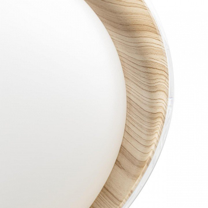 Светильник потолочный Citilux MEGA CL752452G