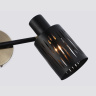 Настенно-потолочный спот в стиле лофт AMBRELLA light TR8668