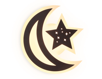 Настенный светодиодный светильник в форме луны Ambrella light FW114