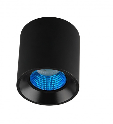 Накладной светильник Denkirs Rodvig DK3090-BK+CY