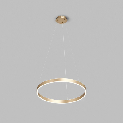 Подвесной светильник Denkirs Raydia DK6273-SG