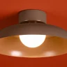 Потолочный светильник Freya Movement FR5602CL-L10BR