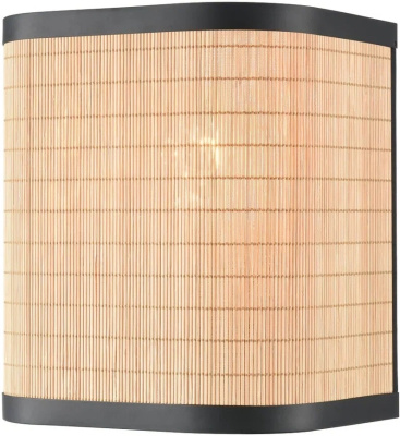 Настенный светильник VELANTE 568-711-01