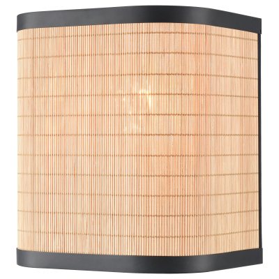 Настенный светильник VELANTE 568-711-01