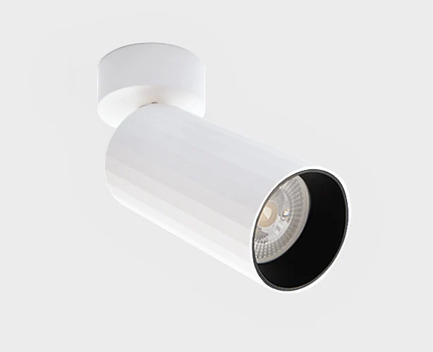 Светильник потолочный поворотный ITALLINE IT08-8011 white