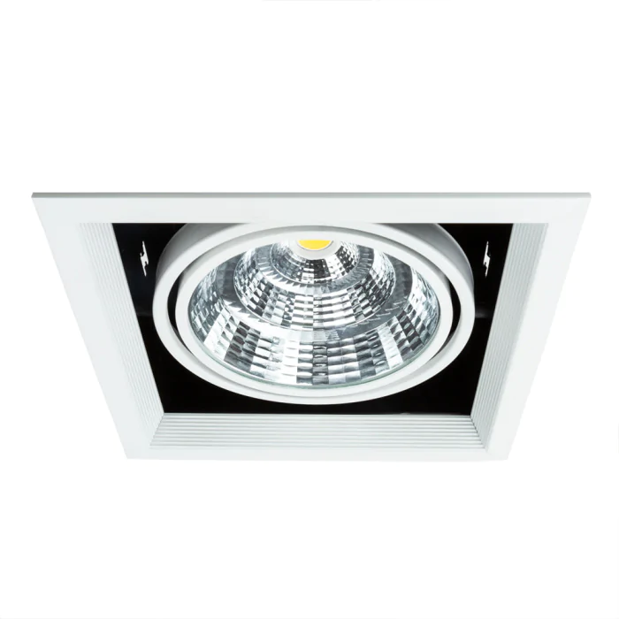 Встраиваемый светильник Arte Lamp MERGA A8450PL-1WH