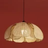 Подвесной светильник Freya Cocoon FR5529PL-01B