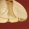 Подвесной светильник Freya Cocoon FR5529PL-01B