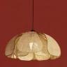 Подвесной светильник Freya Cocoon FR5529PL-01B